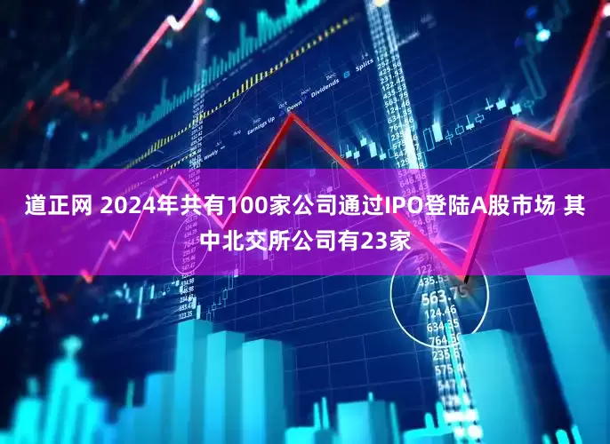 道正网 2024年共有100家公司通过IPO登陆A股市场 其中北交所公司有23家