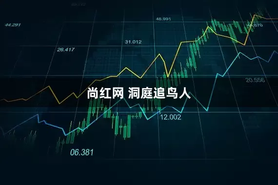 尚红网 洞庭追鸟人